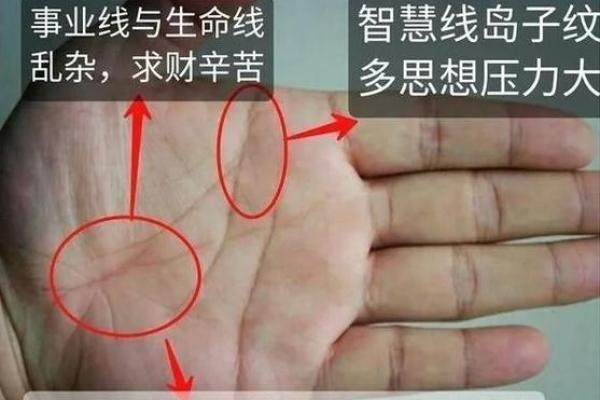 掌中乾坤：揭秘手相田字文，解锁命运之门