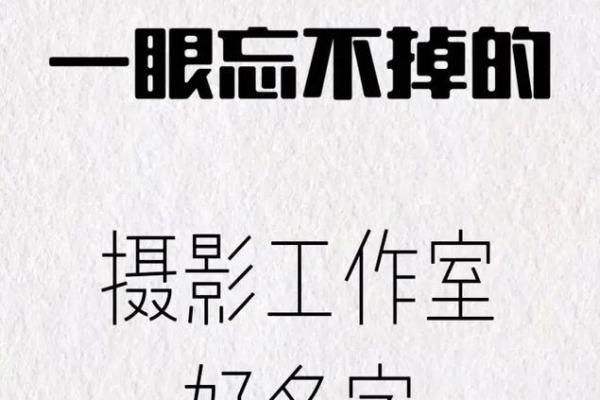 摄影公司起名大全，打造属于你的品牌标识