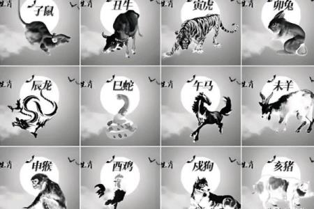 土家族的生肖揭秘：神秘族群与十二生肖的神奇联系