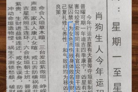 旺势来袭：狗年运势大揭秘