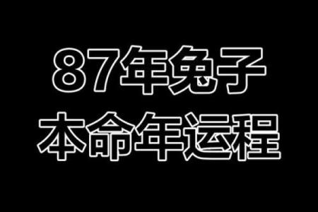 兔年运势揭秘：属兔人的五行命理大揭秘