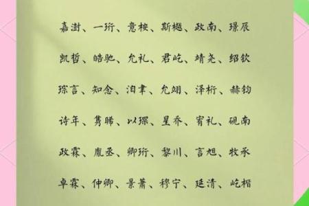邹男孩名字精选，寓意美好且具有现代感