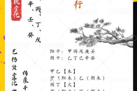 探秘天干木：如何理解五行中的木元素