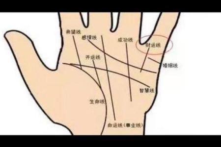 手相揭秘：掌中藏命运，这几条重要线预示着你的人生轨迹