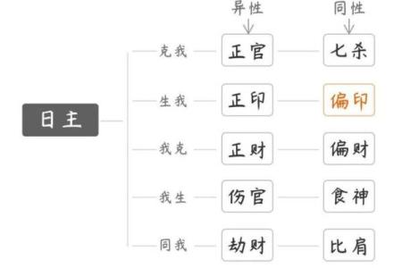 八字十神排盘揭秘：如何通过命盘了解自己的一生运势
