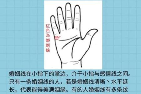 揭秘小气女人的神秘手相，你了解多少？