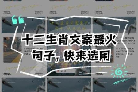 逐梦生肖，财运亨通