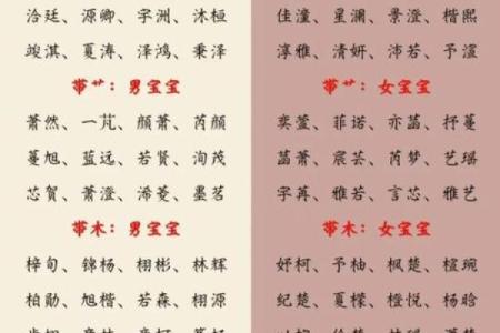 起名元：如何选择最适合的名字