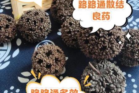 生肖路路通：你的运势指南，一通百通