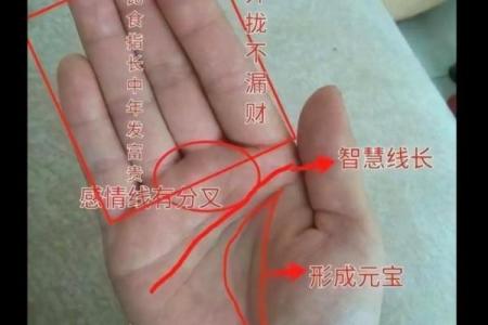 揭秘手相密码：女性手相好坏，命运吉凶一览无遗