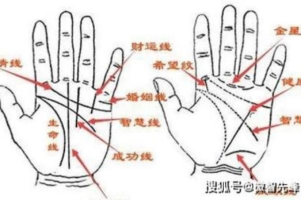 手相揭秘：掌握命运密码，一招看穿人生起伏