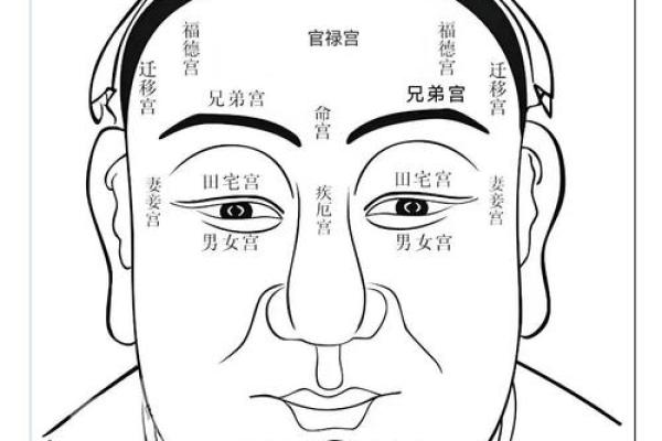 右眉高，财运亨通，揭秘面相中的富贵征兆