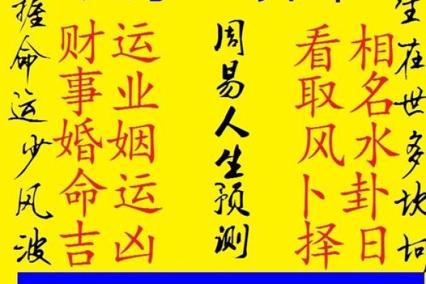 免费八字详批，掌握命运中的每一个转折点