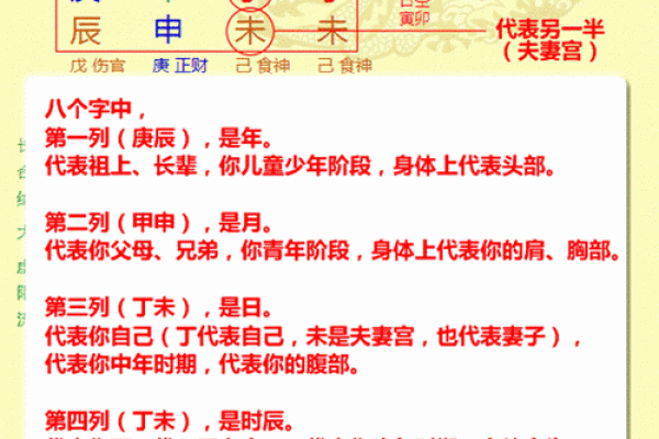 八字排盘十神算命全解析，助你精准预测未来运势