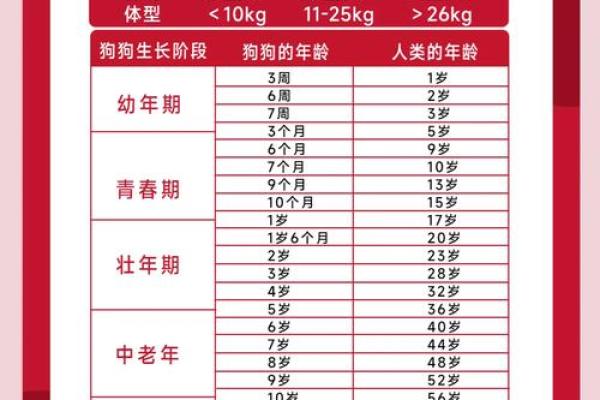 狗年生肖配对攻略：找到你的灵魂伴侣