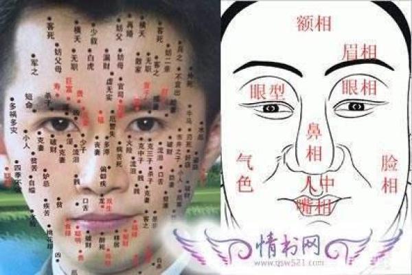 锁骨痣揭秘：预示命运的秘密符号