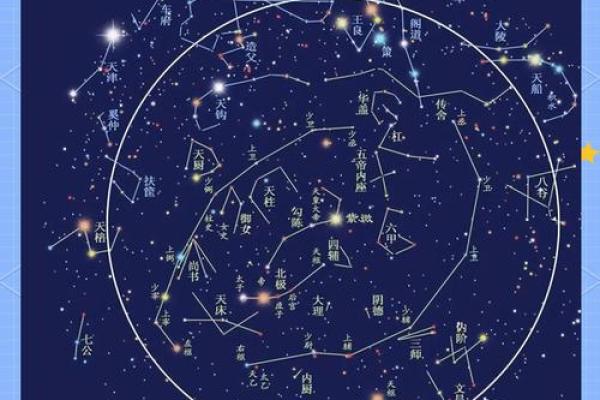 紫微星耀，揭秘命运奥秘