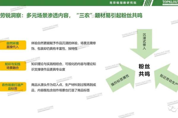 一键排盘，园四柱在线解析让你洞察未来发展趋势