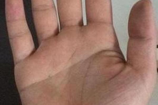 一掌定乾坤：揭秘手相断掌财运秘密，让你财运亨通