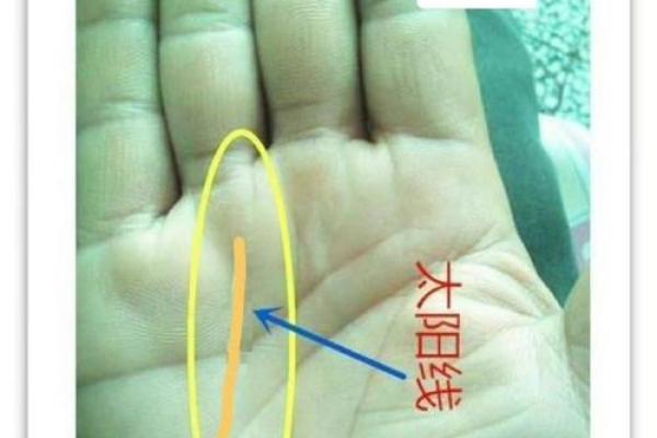 一掌定乾坤：揭秘手相断掌财运秘密，让你财运亨通