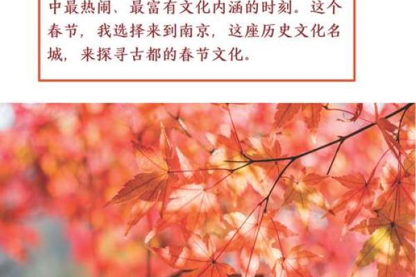 狂欢不止，节庆盛宴深度解析西洋节日文化魅力
