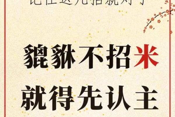 命里三合：揭秘你的命中贵人，财运亨通的秘密