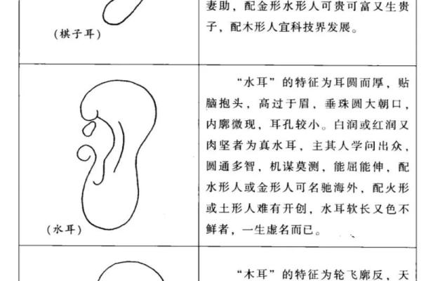 识人不用猜，面相配对助你找到真爱