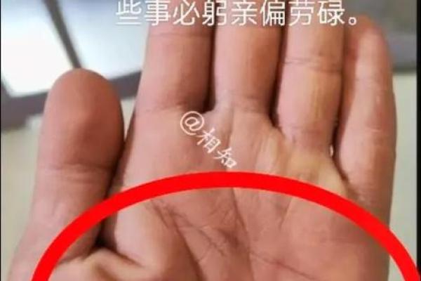 一掌在手，命运可知：揭秘断掌手相的惊人秘密