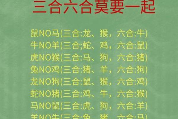 12生肖完整图片大全，珍藏版生肖生肖文化大揭秘