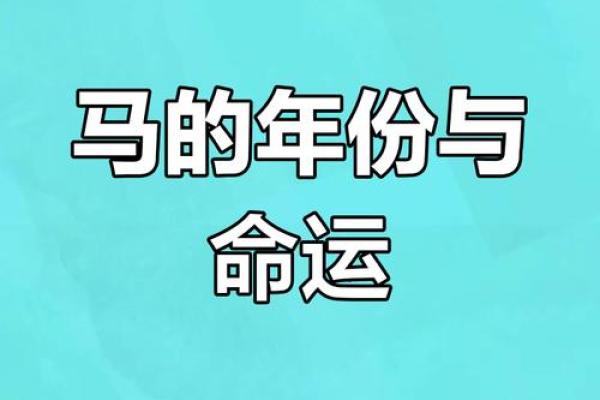1978年运势大揭秘