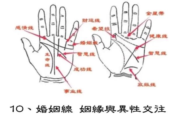 男手相秘诀：揭秘哪只手的线条预示着财运亨通