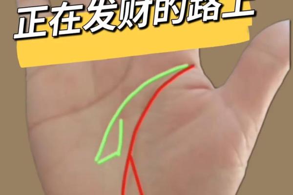 男手相秘诀：揭秘哪只手的线条预示着财运亨通