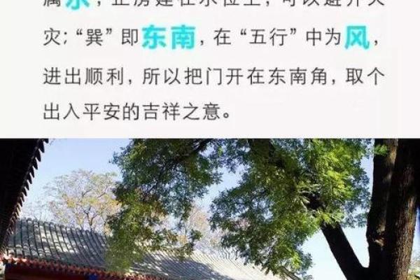 八字透视：你这一年是否注定不平凡