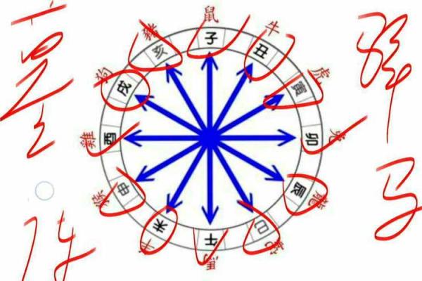 太阳大六壬排盘技巧：提升运势的秘密武器