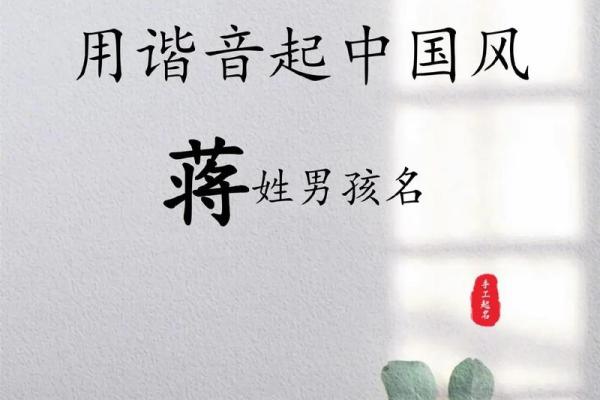 最适合蒋姓男孩的名字，家长必看选择指南