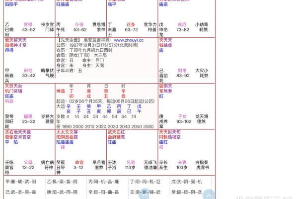 紫薇排盘解读：揭秘你的命运走向