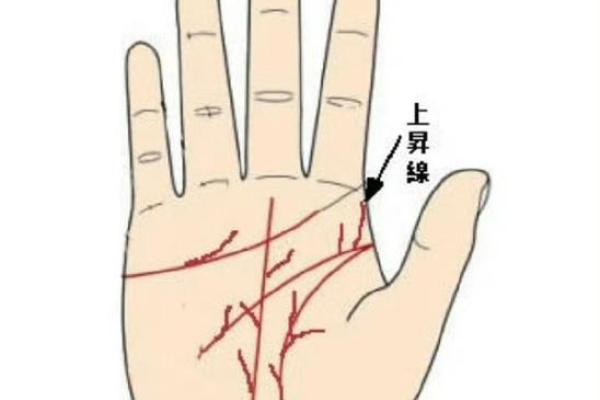 手相揭秘：揭秘你的运势，掌握财富大门