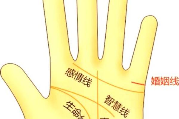 揭秘左右手手相，财运、健康、感情一手掌握