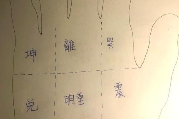 手相巽宫密集线条揭秘：揭秘命运转折点