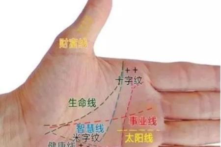 手相揭秘：掌握命运密码，一招看穿人生起伏
