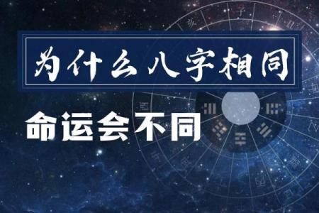 免费八字详批，掌握命运中的每一个转折点