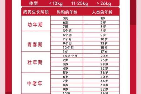 狗年生肖配对攻略：找到你的灵魂伴侣