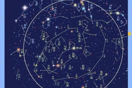 紫微星耀，揭秘命运奥秘