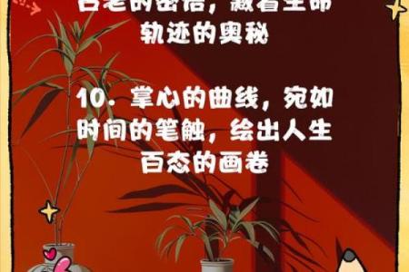 揭秘手相学的科学奥秘：指尖上的命运密码