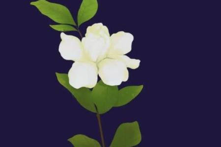 命卦艮：稳固人生，静待花开