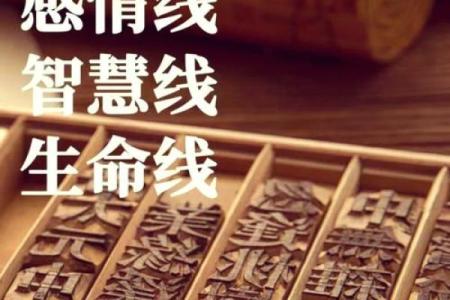 执手相融以沫：揭秘手相中的命运密码