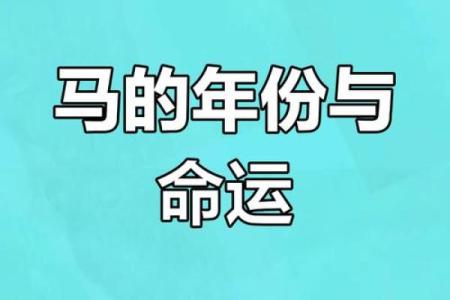1978年运势大揭秘