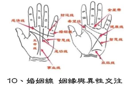 男手相秘诀：揭秘哪只手的线条预示着财运亨通