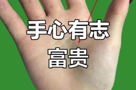 掌心长疙瘩竟预示着好运？揭秘手相中的神奇密码