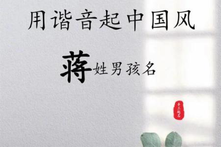 最适合蒋姓男孩的名字，家长必看选择指南